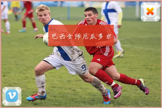 巴西会师厄瓜多尔