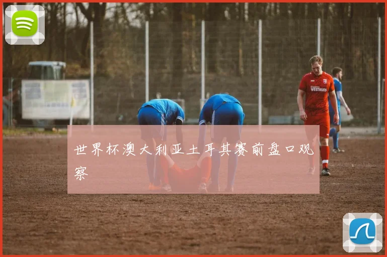 世界杯澳大利亚土耳其赛前盘口观察