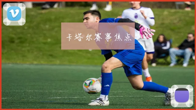 卡塔尔赛事焦点