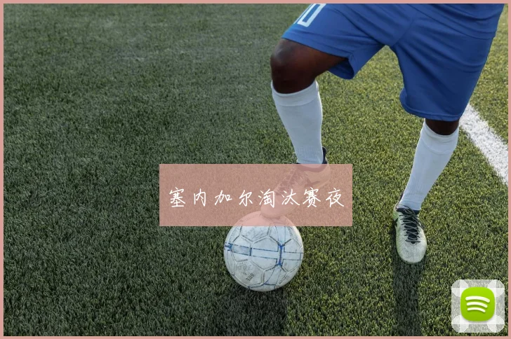 塞内加尔淘汰赛夜