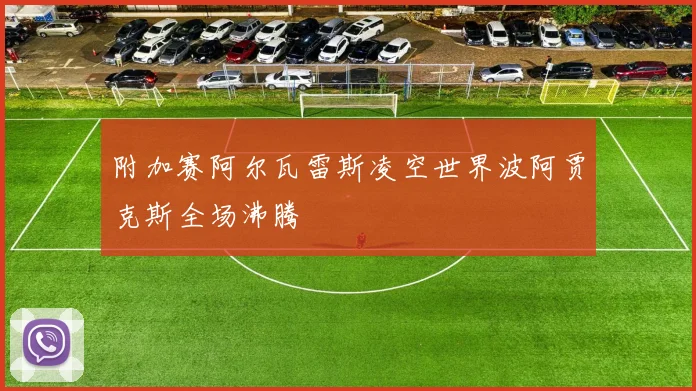 附加赛阿尔瓦雷斯凌空世界波阿贾克斯全场沸腾